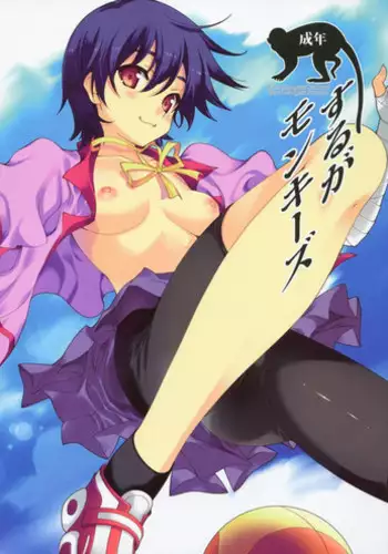 (COMIC1☆5) [Renai Mangaka (Naruse Hirofumi)] Suruga Monkeys (Bakemonogatari)