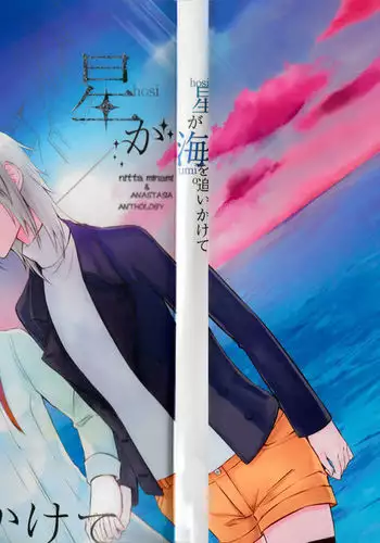 Hoshi ga Umi o Oikakete