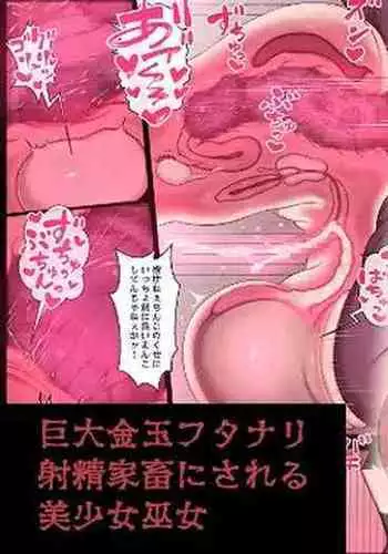 Kyodai Kintama Futanari Shasei Kachiku ni Sareru Bishoujo Miko