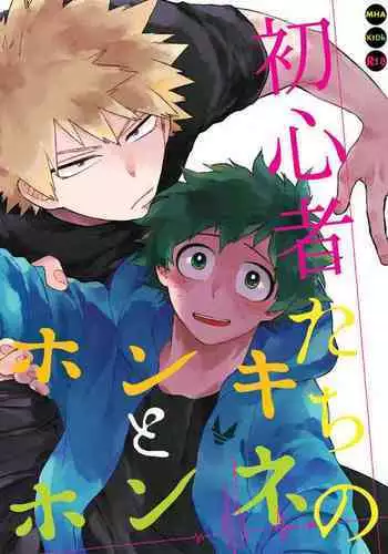 Shoshinsha-tachi no Honki to Honne