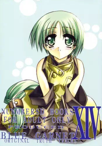 (C62) [BLUE GARNET (Serizawa Katsumi)] BLUE GARNET XIV SKY (SKYGUNNER)