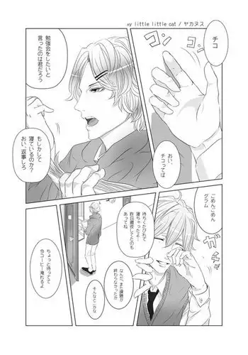 my little littlr cat